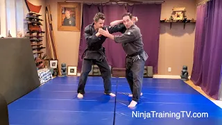 Ganseki Nage Variations