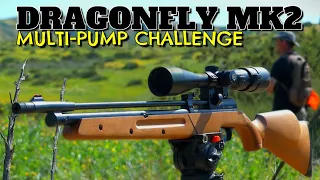 Seneca Dragonfly MK2 Multi-Pump Airgun Challenge