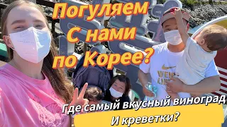 Контент от корейской свекрови/увезла за вкусным виноградом/гуляем у моря/морской рынок