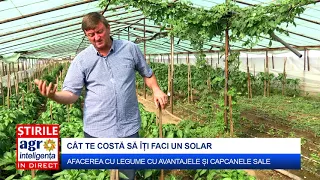 Cât costă să îți faci un solar de legume