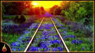 Relaxing Country Music | Long Tracks | Ambient Instrumental Music