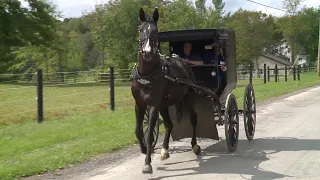 Two Amish Men Flee from Deputies After Being Spotted Drinking While Driving Buggy