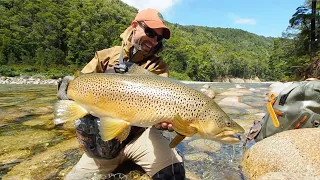 My BIGGEST Brown Trout EVER!!!