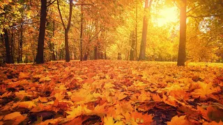 Autumn Days – Primary School Hymn