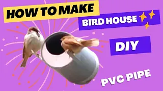 Bird House - How To Build A DIY Birdhouse Using PVC Pipe| save sparrow birds