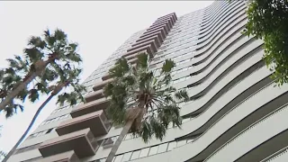 West LA tenants suing over eviction