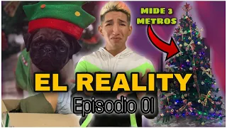 EL REALITY EP. 01 | ASÍ QUEDÓ NUESTRO ÁRBOL DE NAVIDAD 🎄🎄. DIEGO MORENO