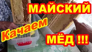 Качаем МАЙСКИЙ МЁД ! Когда качать майский  раннелетний мёд !