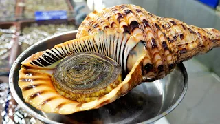 SOO BIG! Giant Monster Sea Snail Sashimi Salad, Stir- Fried | Vietnam Street Food