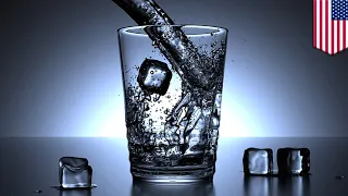 Study shows dehydration impacts our cognition thinking - TomoNews