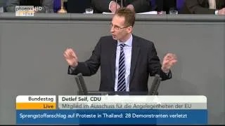 Bundestag - Arbeitsprogramm der EU am 17.01.2014