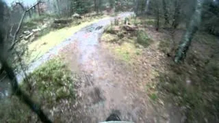 2002 BMW F650GS, Offroad in a wet forest