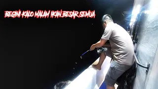 Semakin malam ikan tuna babonya semakin menggila makanya, di spot KM Sophia Agustina