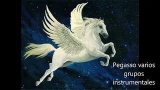 Las instrumentales pegasseras