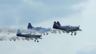 Flying Bulls, 4x Zlin Z-50LS. 21th Pardubice Airshow 2011