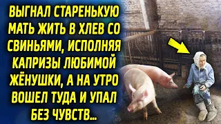 Выставил ее жить в хлев, исполняя капризы любимой жёнушки, а на утро вошел туда и встал без чувств…