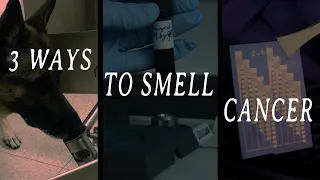 3 Ways To Smell Cancer