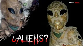 LA VERDAD DE LAS ESCULTURAS ALIENS ENCONTRADAS EN LAS EXCAVACIONES DEL TREN MAYA