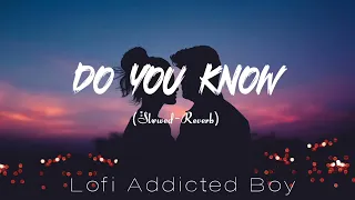 Do You Know Lofi ||(Slowed-Reverb) || Lofi Song