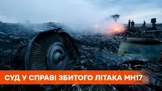 Суд у справі збитого літака МН17 над Донбасом. Інспекція їде на військову авіабазу