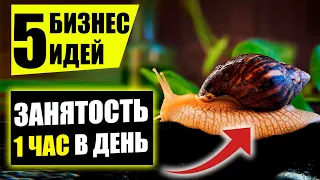 Топ-5 Удивительно простых бизнес идей для ленивых! Бизнес идеи! Бизнес 2020!