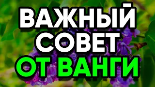 Важный совет от Ванги! Выбросьте вещи, которые отталкивают изобилие