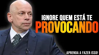 Aprenda a ficar CALADO diante das Ofensas - Leandro Karnal - (Motivação)