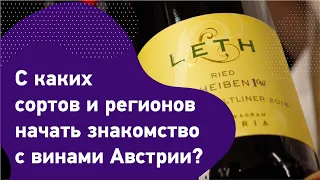 Вина из каких австрийских сортов стоит попробовать? Белые австрийские вина. Винные регионы Австрии