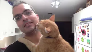 Cat Acts Like a Baby