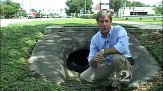 Ducklings reunited with mother after falling into storm drain