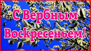 Вербное Воскресенье! Красивое поздравление с Вербным Воскресеньем 2024!