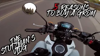 Honda Grom ONE YEAR Review! | 5 Reasons to BUY a Honda Grom!