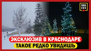 Эксклюзив в Краснодаре  Такое редко увидишь😉