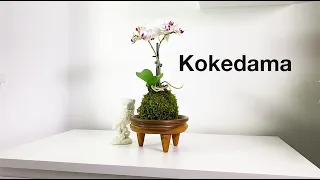 How to Make Kokedama | Step by Step | Plus Beautiful Wooden Bowl - How To Make | 2020