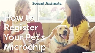 How to Register Your Pet's Microchip