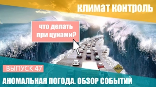 Аномальная погода. 21-27 января 2017. Что делать при цунами? Климат Контроль. Выпуск 47