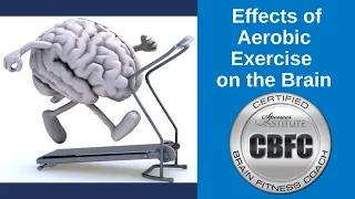 Effects of Aerobic Exercise on the Brain