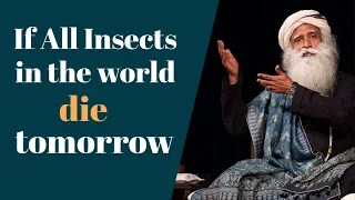What if all Insects disappear from the planet - Sadhguru