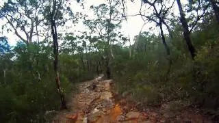 MTB :: The Oaks Trail :: Blue Mountains