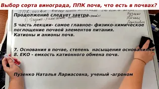 Физико- химическое поглощение почв, обменно-поглотительное поглощение элеметнов питания почвой.