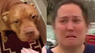 Owners in shock when their Pit Bulls randomly snap