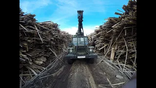 Огромная СВАЛКА ГОРБЫЛЯ! Деньги под открытым небом...