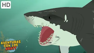 Aventuras con los Kratt | Atrapado en tiburones | Episodio Completo | Temporada 1