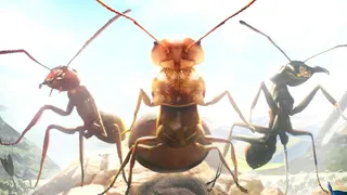 Ant legion гудбай, ушел в другую игру))