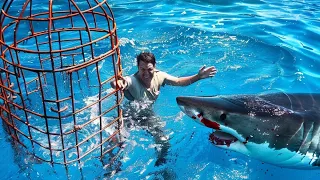 Diver Exits Shark Cage At The WRONG TIME...