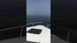 Awesome Fog Arch, or Phantom Rainbow - Lake Ontario