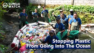 How We Stopped 1 Million KG of Plastic From Going Into The Ocean