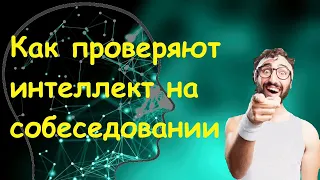 Как проверяют интеллект на собеседовании | Как пройти собеседование