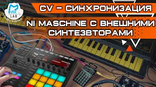 Урок синхронизации NI Maschine и внешних синтезаторов по CV