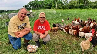 Getting Back to Work: Good News in Action on the Farm